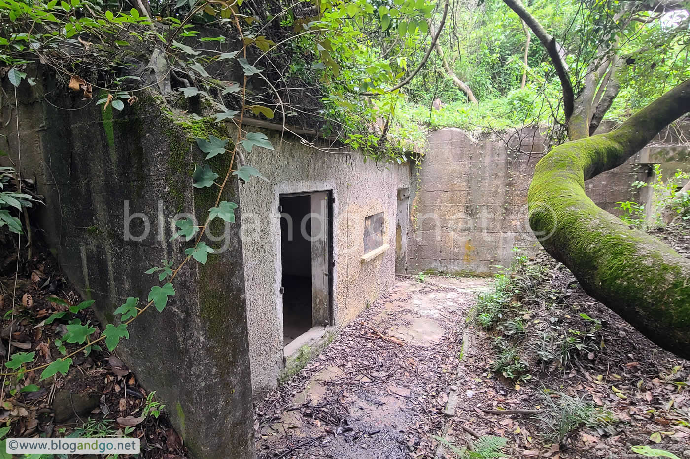 Mount Davis Battery - Anti-Aircraft Position